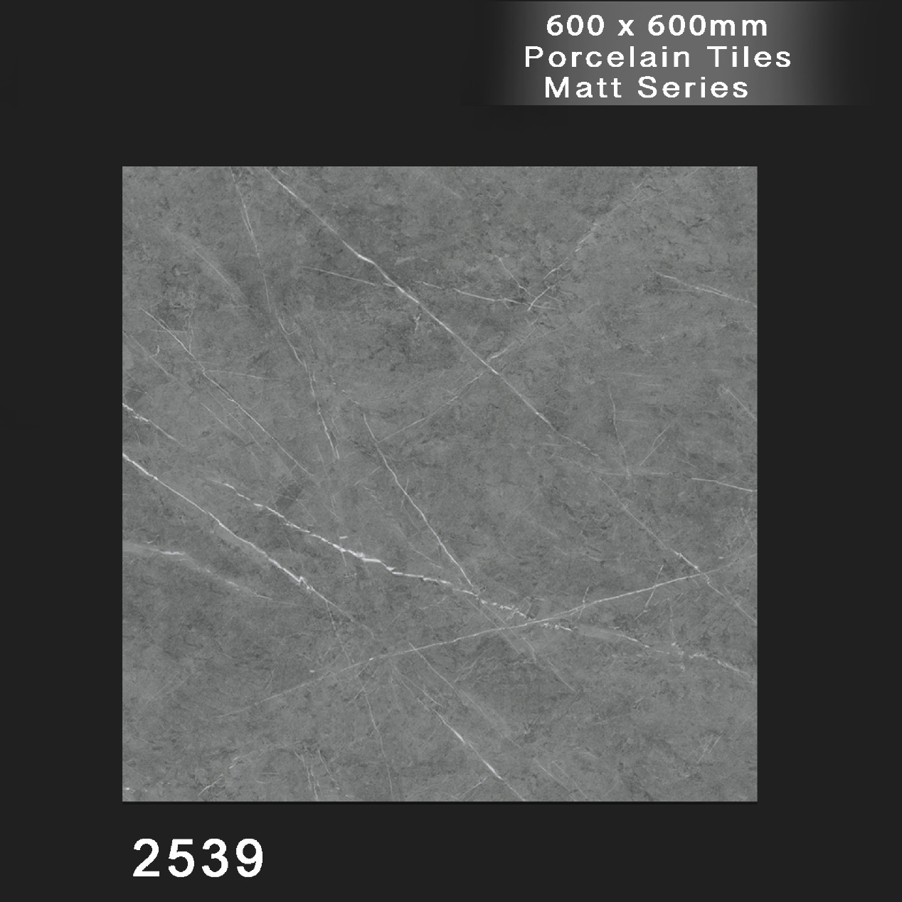 2539