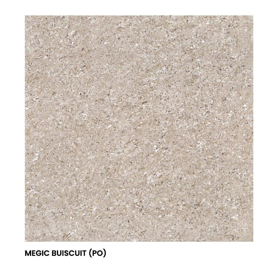 MEGIC BUISCUIT