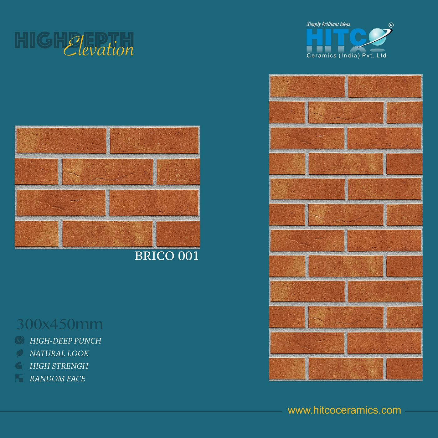 BRICO 001