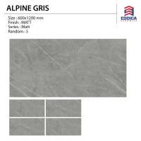 ALPINE GRIS