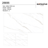 25035