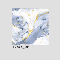 12678 FLOOR
