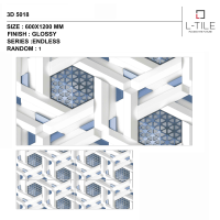 3D 5018
