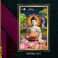 CRYSTAL-1017