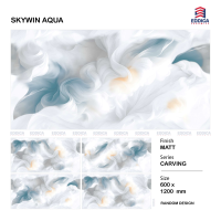 SKYWIN AQUA CARVING