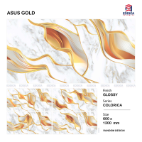 ASUS GOLD GLOSSY