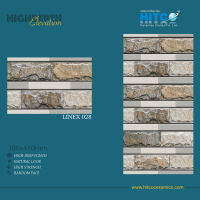 LINEX 028