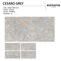 CESARO GREY