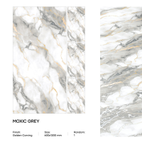 MOXIC GREY